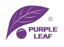 Purple Leaf