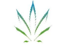 CBD Biocare