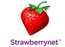 Strawberry Net