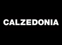 Calzedonia Logo