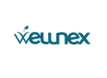 Wellnex IT Logo