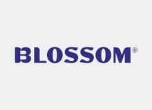 Blossom Beauty Logo