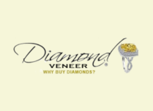 Diamond Veneer Travel Jewelry Logo