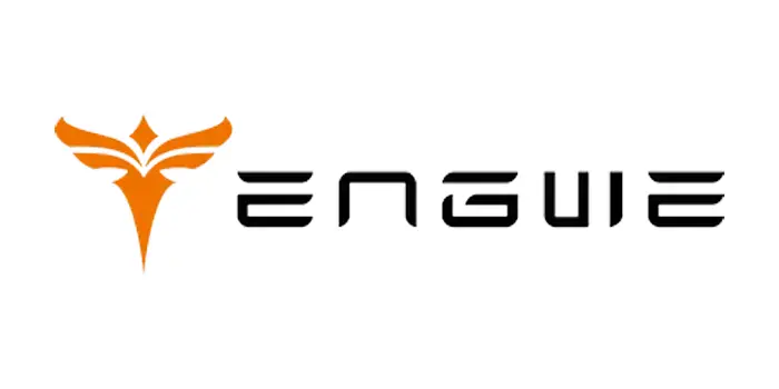Engwe DE