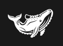 Graywhale Technology