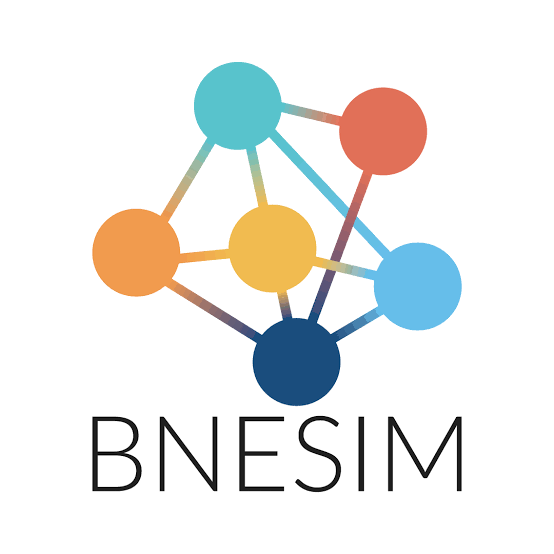 BNESIM Logo